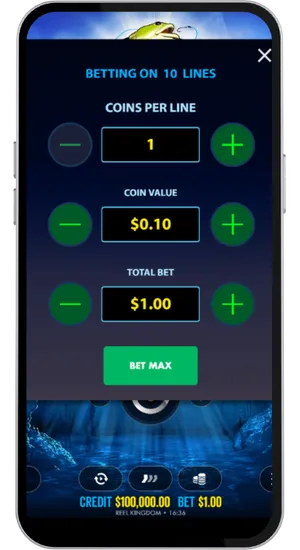 Setting bet between €0.10 and €250 in Big Bass Bonanza slot